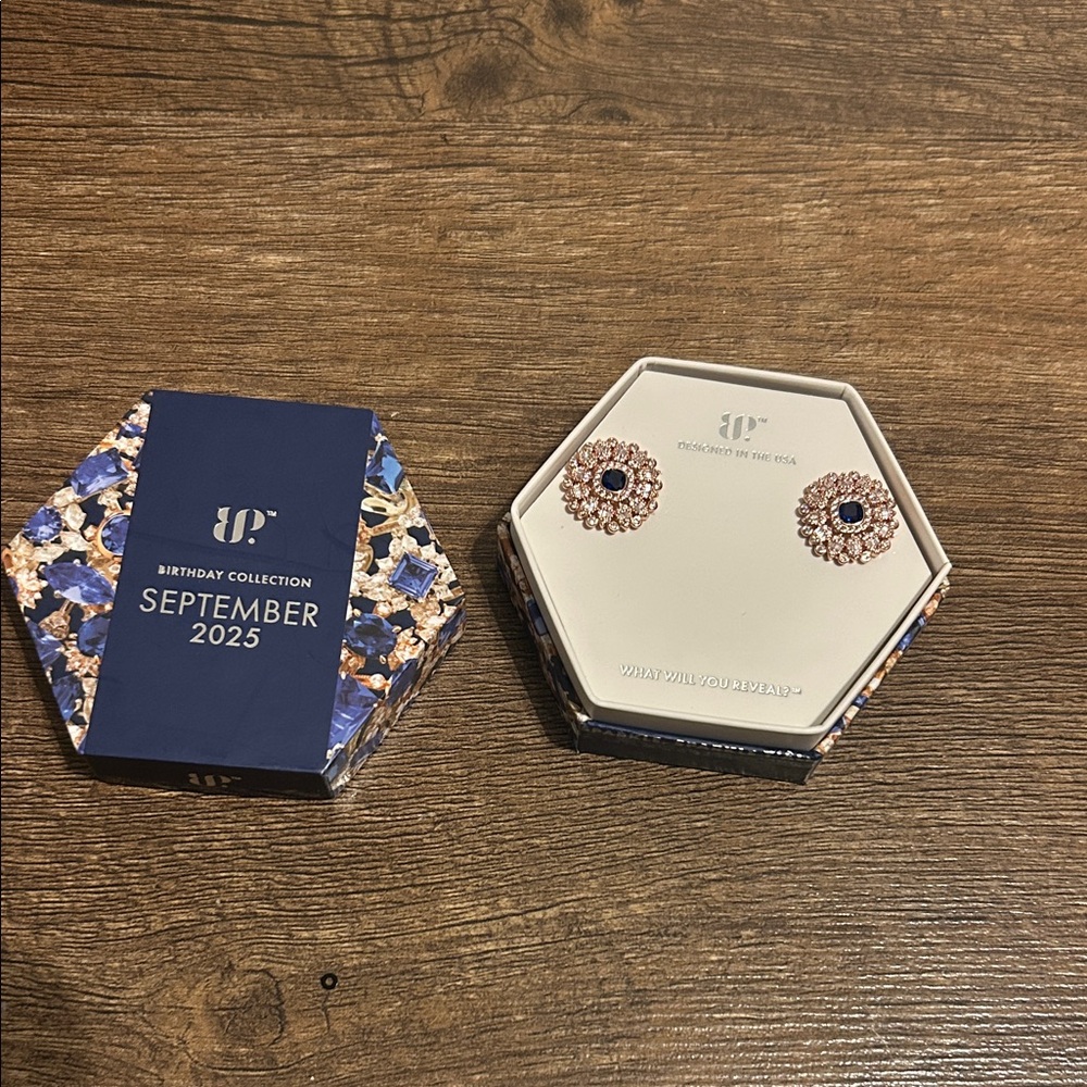 Elegant Rose Gold and Blue Crystal Earrings